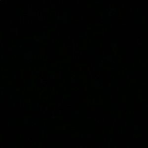 Meet your Posher, Maggie